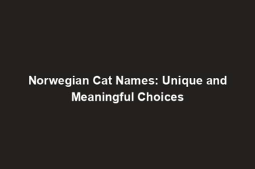 Norwegian Cat Names: Unique and Meaningful Choices