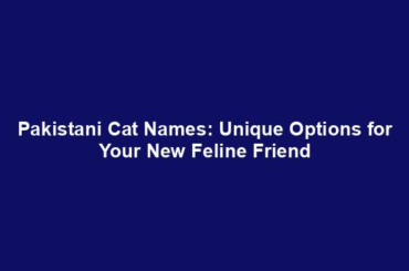 Pakistani Cat Names: Unique Options for Your New Feline Friend