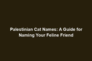 Palestinian Cat Names: A Guide for Naming Your Feline Friend