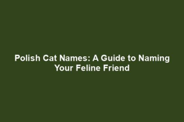 Polish Cat Names: A Guide to Naming Your Feline Friend