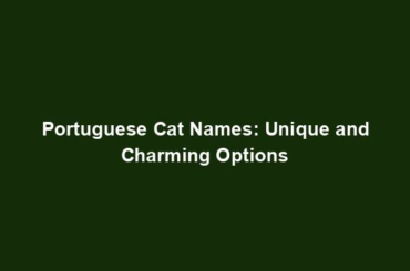 Portuguese Cat Names: Unique and Charming Options