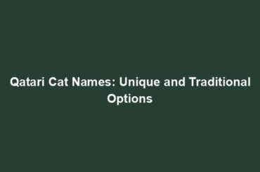 Qatari Cat Names: Unique and Traditional Options