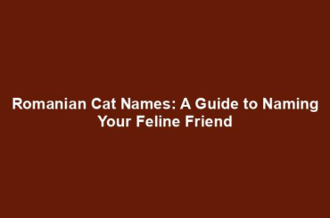 Romanian Cat Names: A Guide to Naming Your Feline Friend