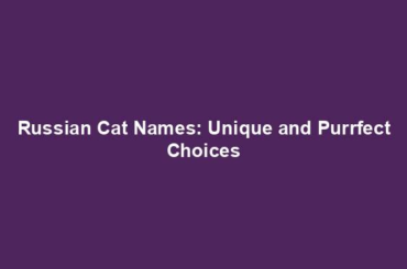 Russian Cat Names: Unique and Purrfect Choices