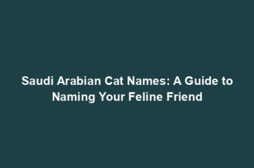 Saudi Arabian Cat Names: A Guide to Naming Your Feline Friend