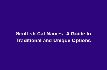 Scottish Cat Names: A Guide to Traditional and Unique Options