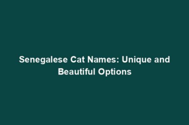 Senegalese Cat Names: Unique and Beautiful Options