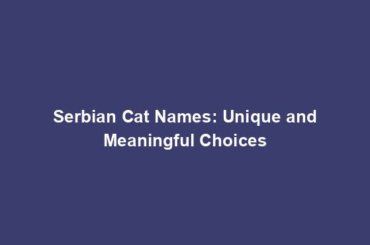 Serbian Cat Names: Unique and Meaningful Choices