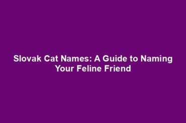 Slovak Cat Names: A Guide to Naming Your Feline Friend