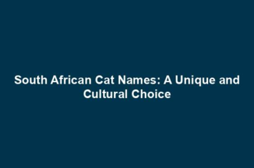 South African Cat Names: A Unique and Cultural Choice