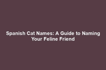 Spanish Cat Names: A Guide to Naming Your Feline Friend