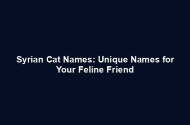 Syrian Cat Names: Unique Names for Your Feline Friend