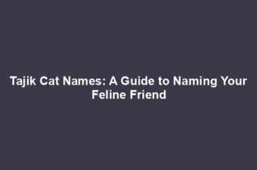 Tajik Cat Names: A Guide to Naming Your Feline Friend