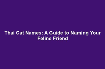 Thai Cat Names: A Guide to Naming Your Feline Friend