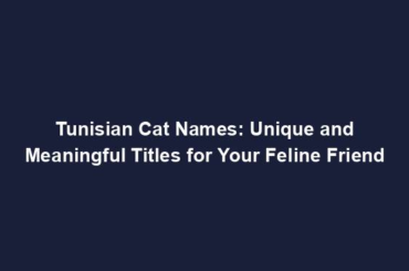 Tunisian Cat Names: Unique and Meaningful Titles for Your Feline Friend