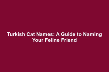 Turkish Cat Names: A Guide to Naming Your Feline Friend