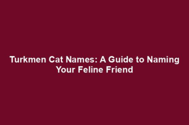 Turkmen Cat Names: A Guide to Naming Your Feline Friend