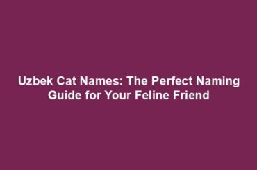 Uzbek Cat Names: The Perfect Naming Guide for Your Feline Friend