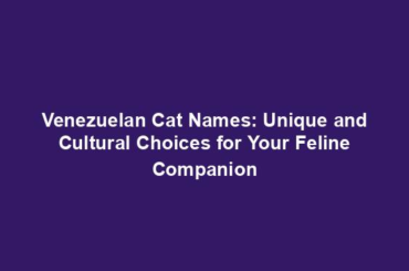 Venezuelan Cat Names: Unique and Cultural Choices for Your Feline Companion