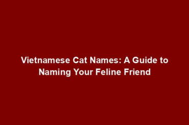 Vietnamese Cat Names: A Guide to Naming Your Feline Friend