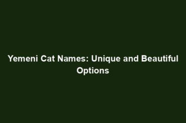 Yemeni Cat Names: Unique and Beautiful Options